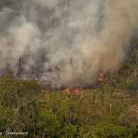 Incendie dans la réserve de Jaci-Paraná, à Porto Velho dans l'Etat de Rondônia (Brésil). © © Christian Braga / ...