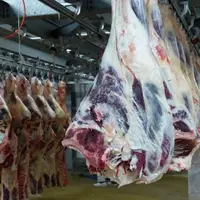 Viande britannique