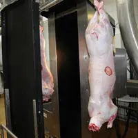 L'abattoir de Rodez est reprise par le groupe Unicor.