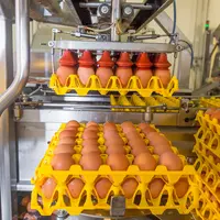 © CNPO