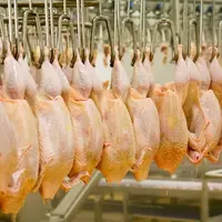 Poulet : les importations menacent l’origine France