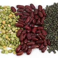 Le livret de recettes met en avant les légumes secs. © Pascal Xicluna / ...