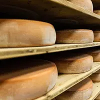 © Raclette IGP Savoie