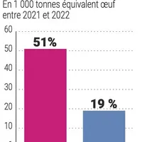Œufs, ovoproduits, la tension va durer encore quelques mois