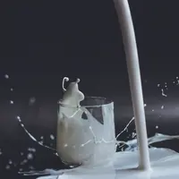 La consommation de lait bio cale alors que la production continue de grimper