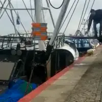 cargaisons non pesées