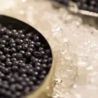 La France est le premier consommateur européen de caviar