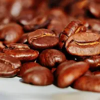 le café en grain
