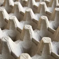 La cotation des oeufs industrie est soumise au secret statistique, faute de volume