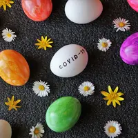 Oeufs Covid