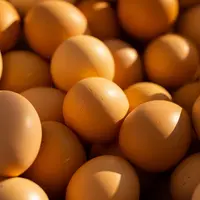 oeufs