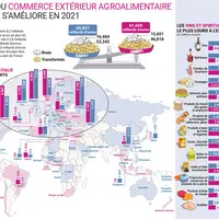 Infographie parue dans notre mensuel Les Marchés mag d'avril 2022
