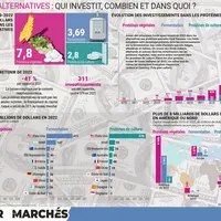 Protéines alternatives : qui investit, combien, dans quoi , infographie