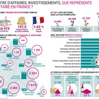 Infographie panorama du secteur agroalimentaire en France
