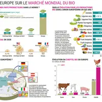 infographie illustrant le poids de l'europe sur le marché mondial du bio