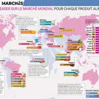 Infographie parue dans Les Marchés Mag de novembre 2022