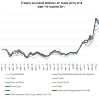 Evolution des indices Itavi pour l'aliment des volailles