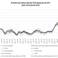 Pour chaque espèce de volaille, les coûts alimentaires battent des records tous les mois selon les indices Itavi