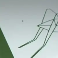 De nouvelles protéines sont à base d'insectes ou issues de fermentation.