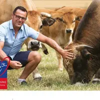 Fiche promotionnelle de Nos Bovins d'Ile-de-France par Ile-de-France Terre de Saveurs.