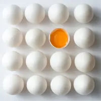 photo d'oeuf avec coquille