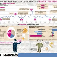 Infographie sur les prix des oeufs parue dans le mensuel Les Marchés Mag de décembre