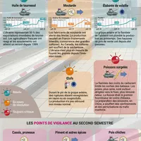 Infographie sur les pénuries dans l'alimentaire parue dans Les Marchés Mag de septembre 2022