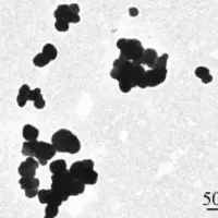 Nanoparticules de dioxyde de titane Inra Toxalim