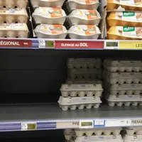rayon oeuf grande distribution