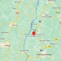 Le cas allemand de peste porcine est proche de Colmar