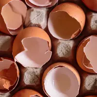 oeufs