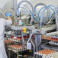 Les industriels de l'oeufs assurent de la totale mobilisation de leurs entreprises  pour maintenir au mieux la production et les approvisionnements en