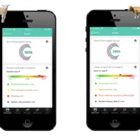 application glimpact pour l'impact environnemental