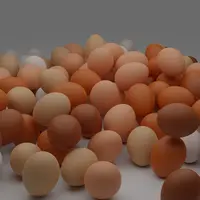 oeuf