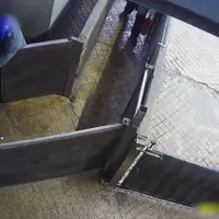 Les images de sévices et mauvais traitements avaient été diffusées l'an dernier par L214