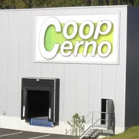 Cerno