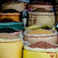 En août, les prix alimentaires mondiaux ont reculé selon la FAO