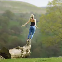 Retour à l'essentiel