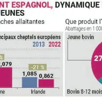 Les secrets du dynamisme de la filière viande bovine espagnole