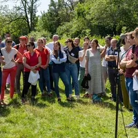 herbe pâturage champ McDonald's viande essai