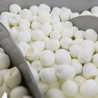 oeufs durs en usine