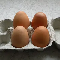 Aviculture, œufs avec la coquille plus transparente et plus granuleuse touchés par le syndrome lié à Mycosplasma sinoviae.