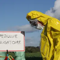 exercice simulation Influenza aviaire. pathologie en élevage de volaille.