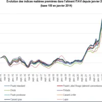 graphique indices Itavi