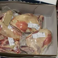 Pourquoi les exportations d’agneau rebondissent au Royaume-Uni