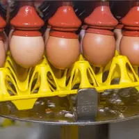 oeufs en usine