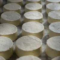 Les ventes de fromages de chèvre semblent se stabiliser en 2023.