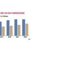Plus de déclassements en laits de chèvre et brebis qu'en lait de vache bio