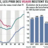 En veau, l’offre devrait revenir au dernier trimestre