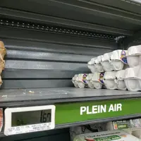 En 2023, la croissance des ventes en volume d’œufs plein-air a été impressionnante.